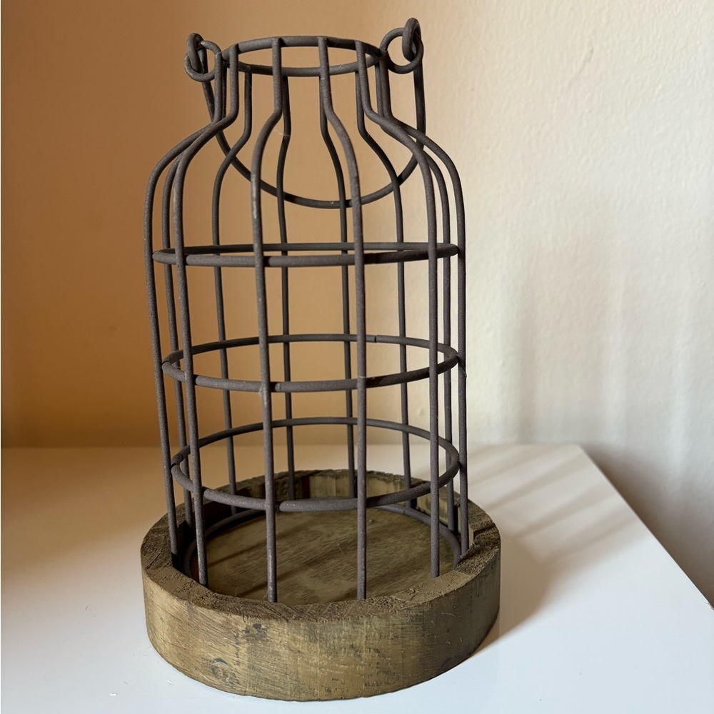 Rustic Brown Metal Wire Cage Accent